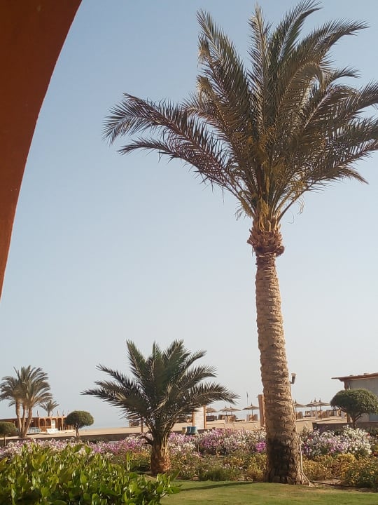 Gartenanlage Novotel Marsa Alam Beach Resort