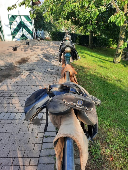 Sonstiges Ferienhof Homann mit Herz