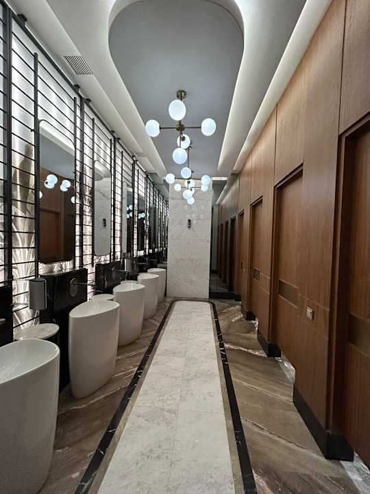 Lobby Calyptus Kirman Premium