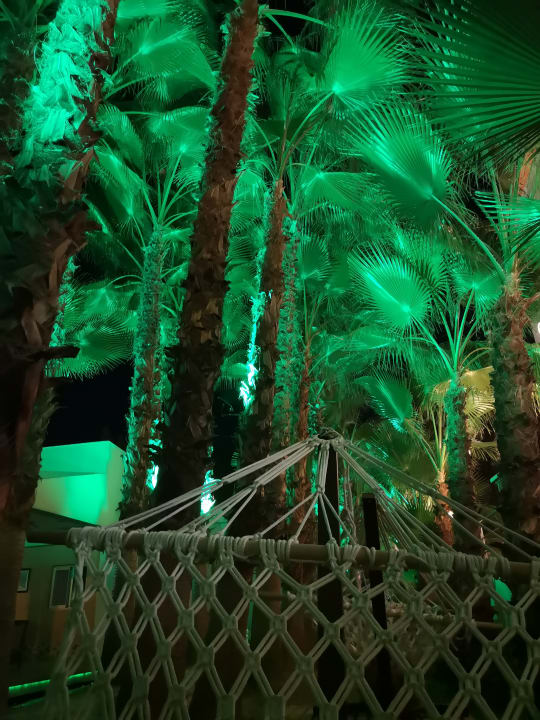 Gartenanlage Dizalya Palm Garden