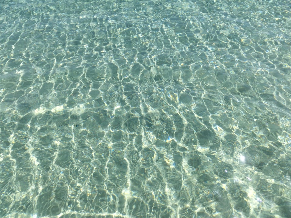 Herrlich! Mahdia Palace Thalasso