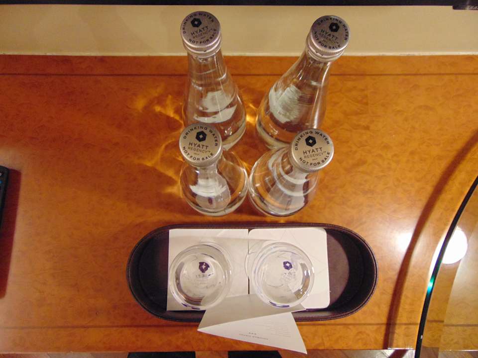 Zimmer Hotel Hyatt Regency Delhi