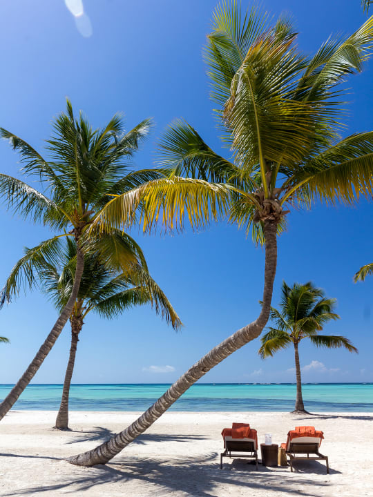 Strand Secrets Cap Cana Resort & Spa - Adults only