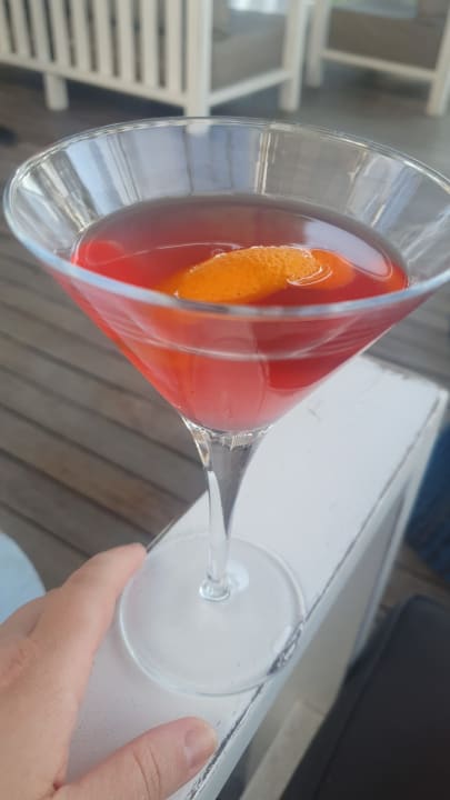 Gastro Acanthus Cennet Barut Collection