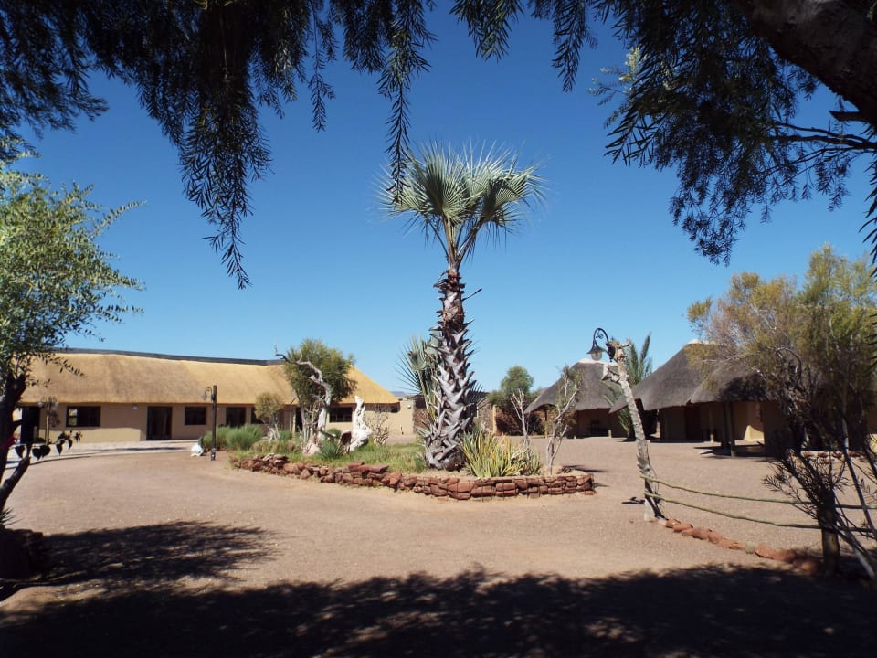 Links Rezeption rechts weitere Hütten Palmwag Lodge