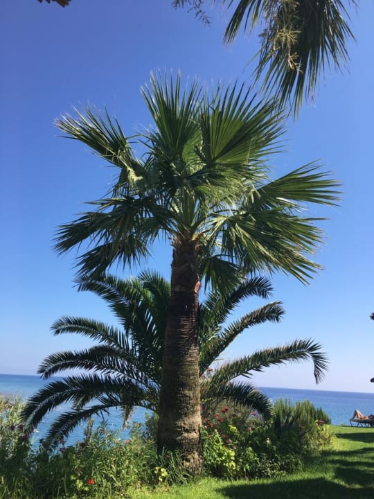 Gartenanlage Crystal Springs Beach Hotel