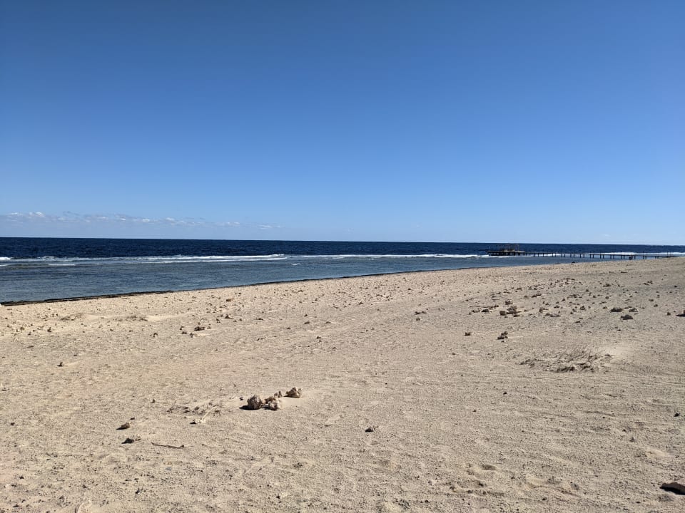 Strand The Oasis Dive Resort