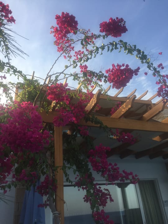 Zimmer Atrium Prestige Thalasso Spa Resort & Villas