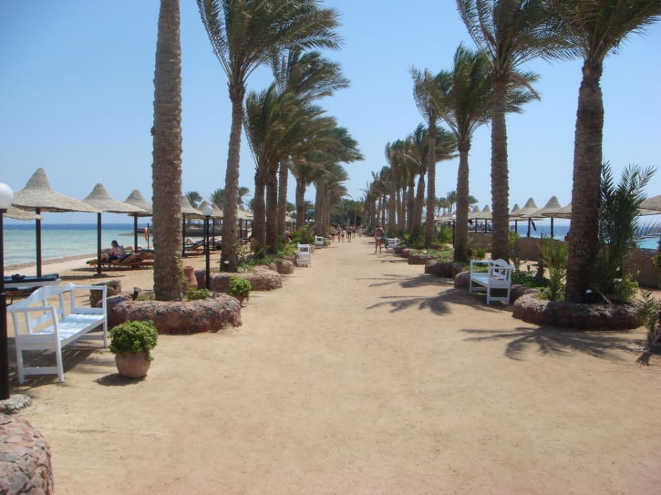 Promenade Richtung "Insel" Arabia Azur Resort