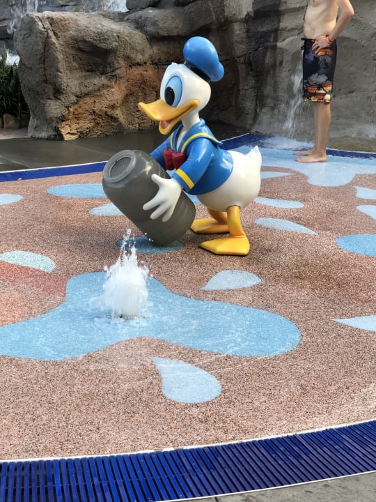 Sonstiges Disney's Saratoga Springs Resort & Spa