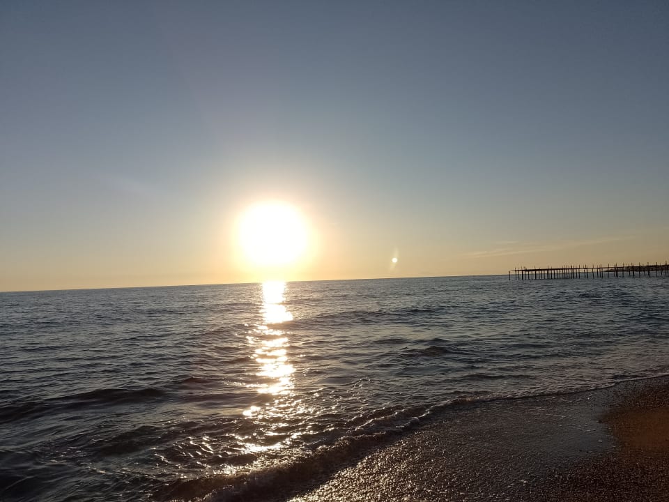 Strand Dizalya Palm Garden