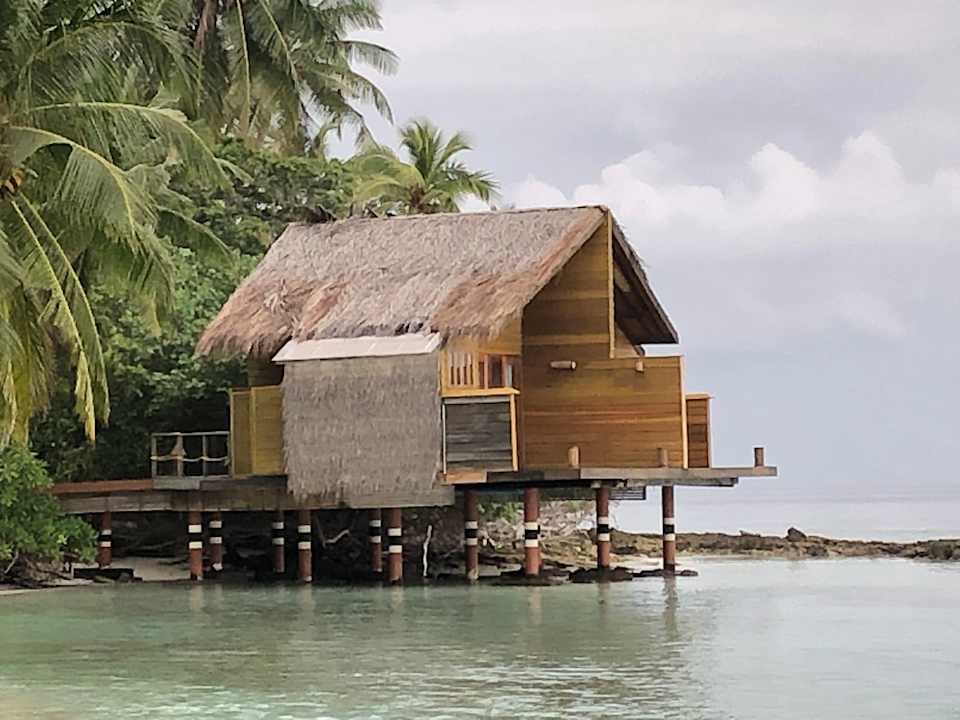 Sport & Freizeit aaaVeee Nature's Paradise