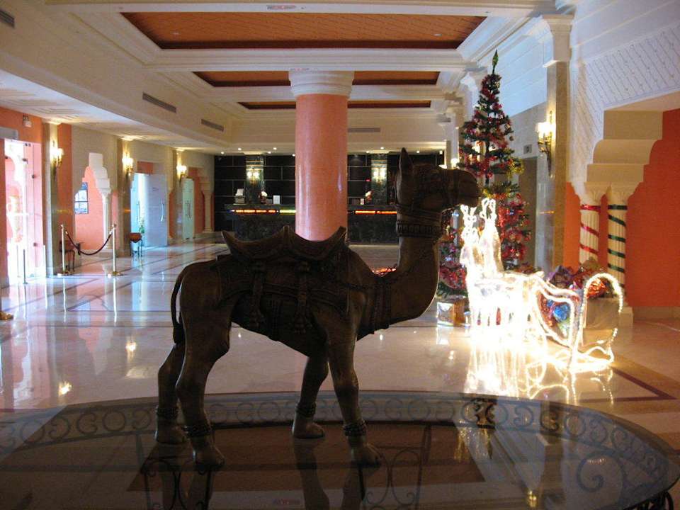 Lobby Royal Lido Resort & Spa