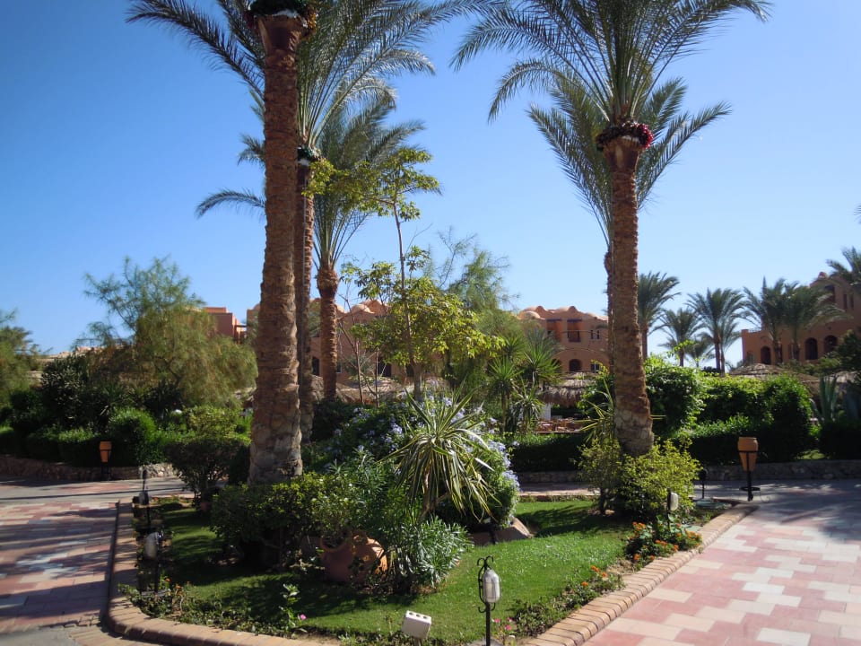 Wunderschöne gepflegte Wege Jaz Makadi Oasis Resort