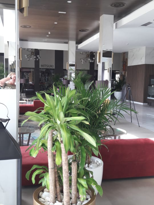 Lobby Hotel Riu Palace Boavista