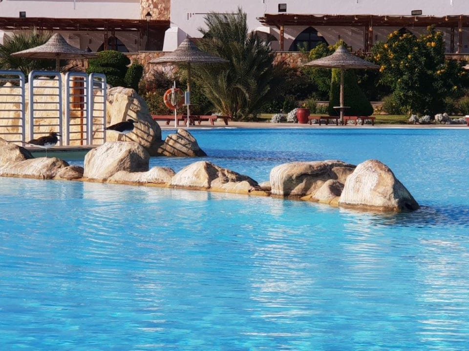 Pool Hotel Gorgonia Beach Resort