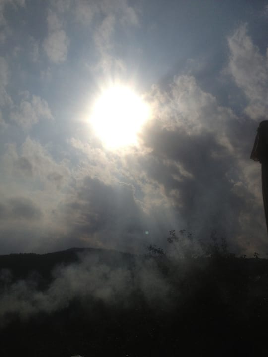 Bienenalm LUXGUT - OLIVIA