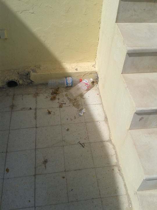 Dreck ohne Ende Sousse City & Beach Hotel