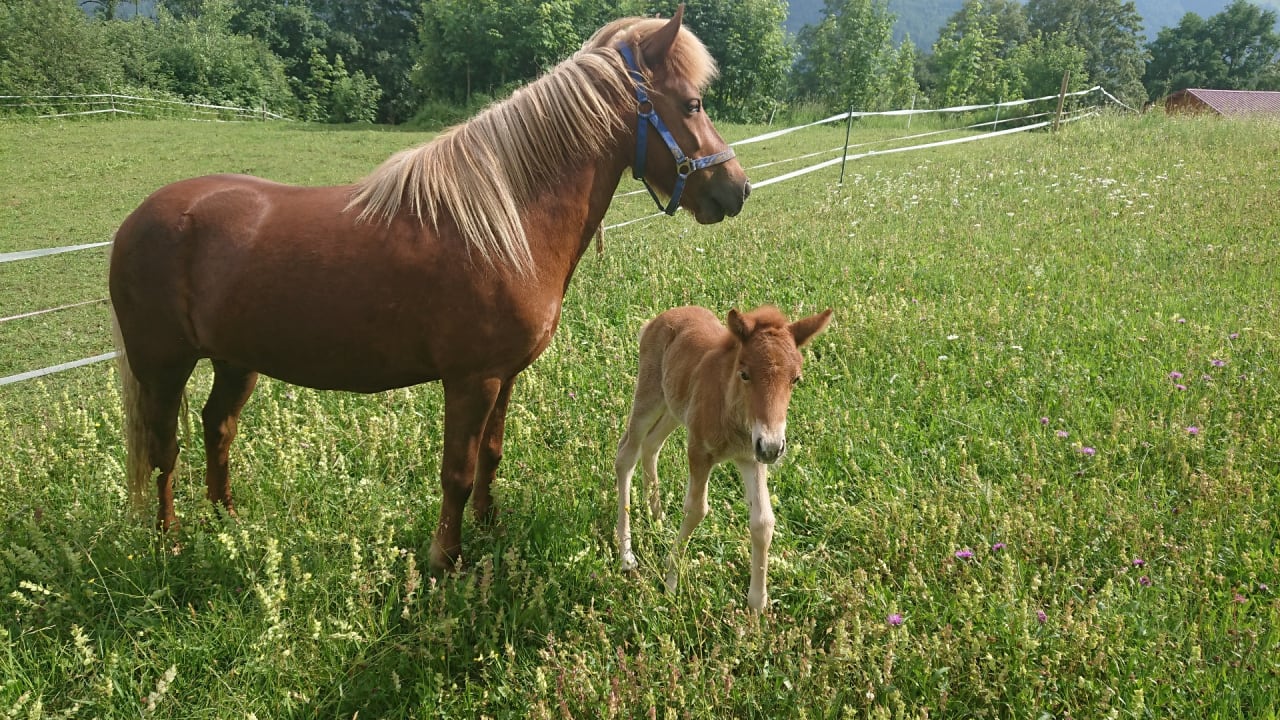 Außenansicht Sonnhof Reit im Winkl