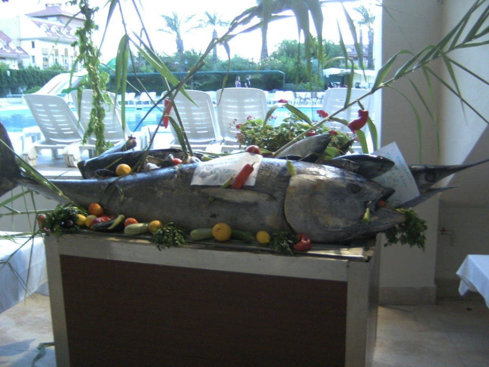 Kleiner Thunfisch Side Breeze Hotel