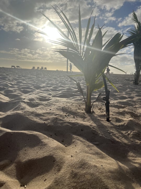 Strand Hotel Riu Touareg