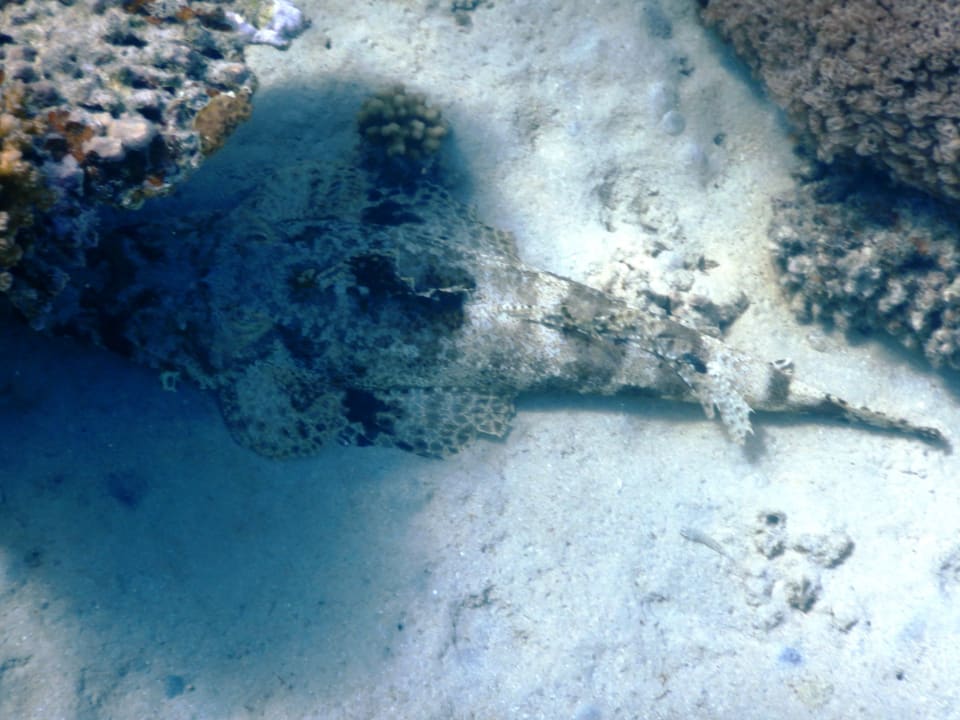 Sport & Freizeit Shams Alam Beach Resort