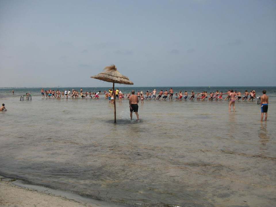 Strandolympiade - Tauziehen Hotel Rosa Beach