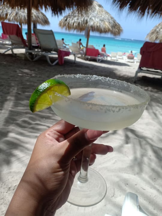 Gastro Catalonia Royal La Romana - Adults only