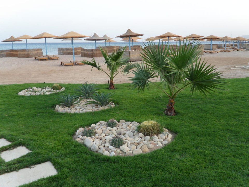 Schönes Grün Shams Prestige Abu Soma-Adults Only