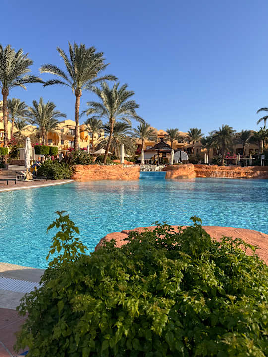 Pool Steigenberger Coraya Beach - Adults only