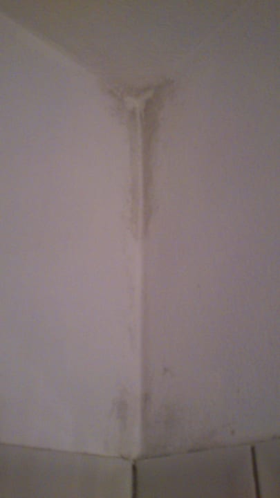 Bad Feuchtbiotop Zimmer 903 alltoura Club Hotel Poseidon Palace