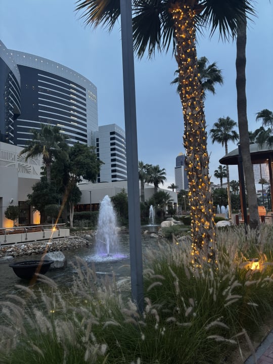 Gartenanlage Grand Hyatt Dubai