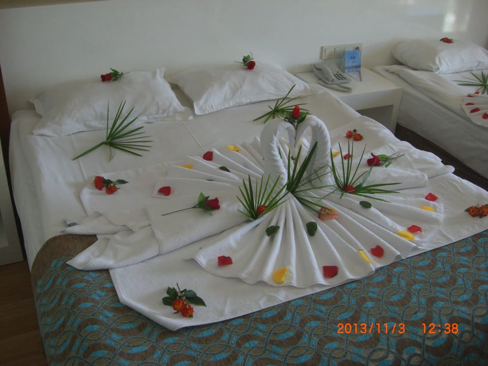 Ankunft Seaden Sea World Resort & Spa