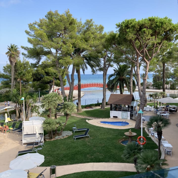 Sonstiges allsun App.-Hotel Orquidea Playa