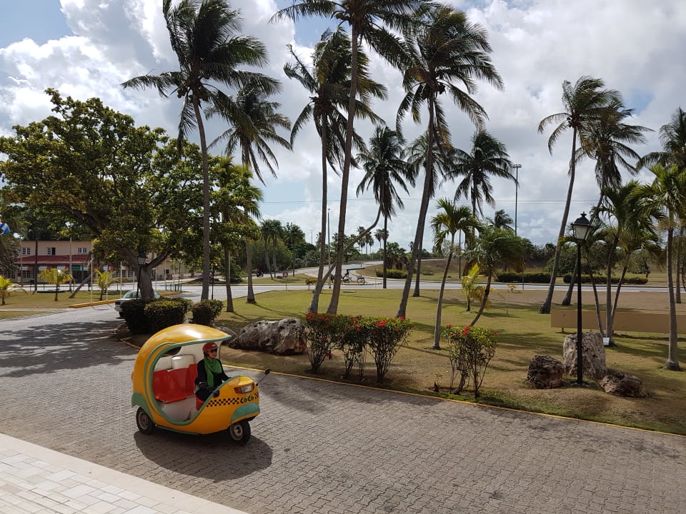 Vor dem Hotel Hotel Roc Barlovento