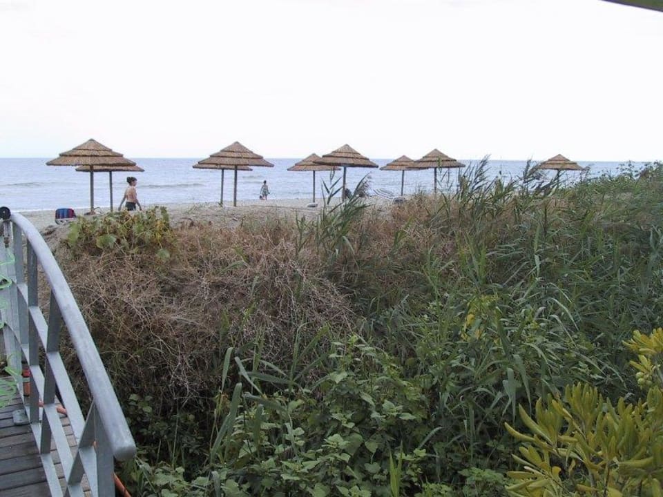 Ausblick von der Anlage zum Strand Résidence Sognu Di Rena