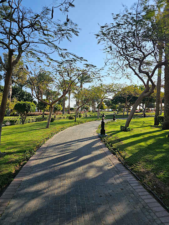 Gartenanlage Steigenberger ALDAU Beach Hotel
