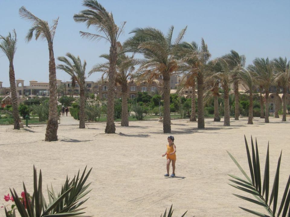 Strand Utopia Beach Club