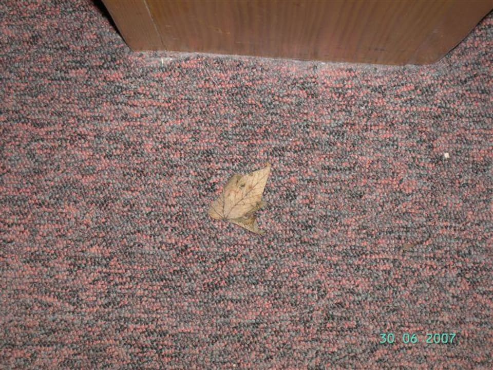 Ein Beispiel für Sauberkeit des Fußbodens Hotel Astenstübchen