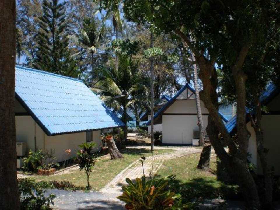 Blick vom Pool Hotel Coral Island Resort