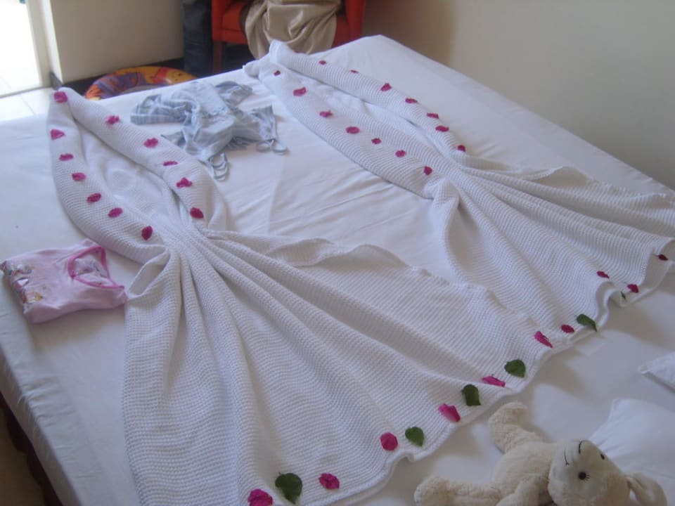 Immer sauber Hotel Orfeus Park