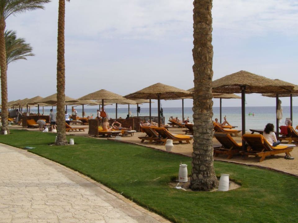 Strandabschnitt Makadi Palace