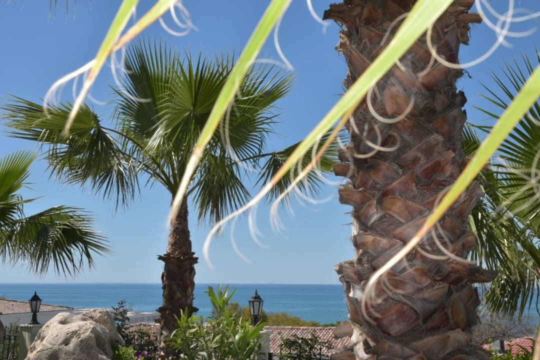 Ausblick Alba Queen Hotel