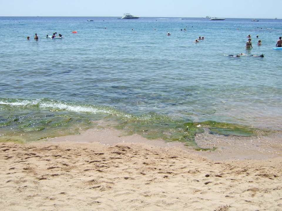 Meer Ghazala Gardens