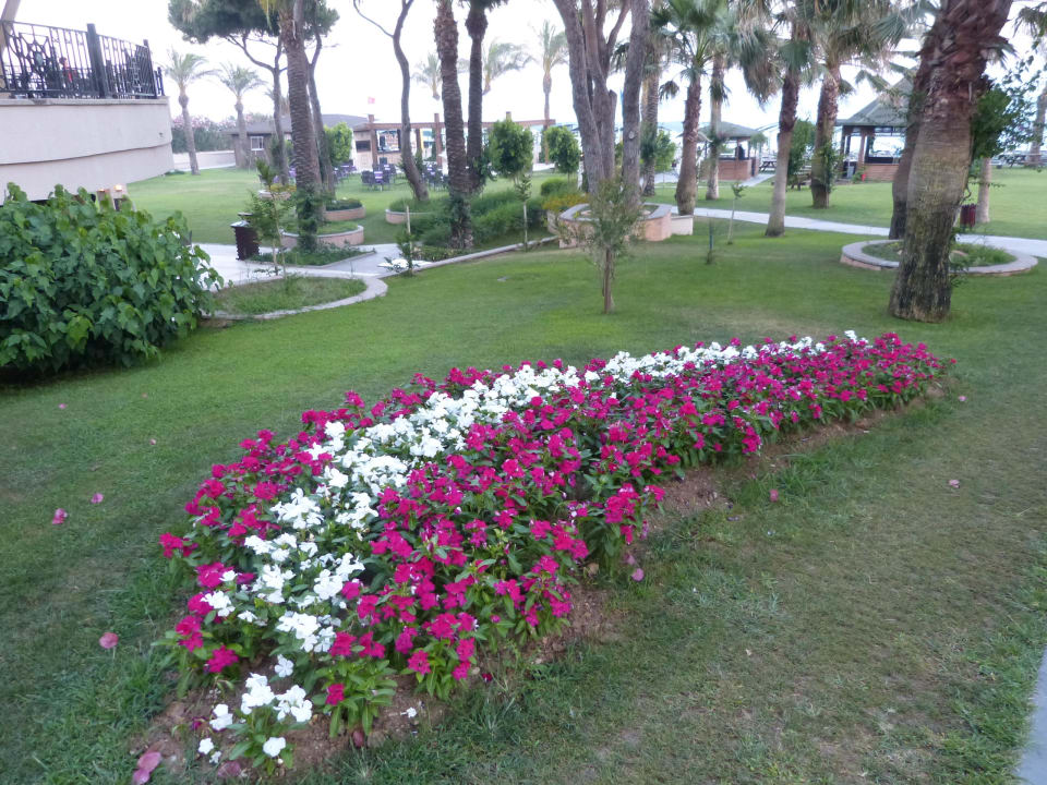 Weg zum Strand Papillon Ayscha