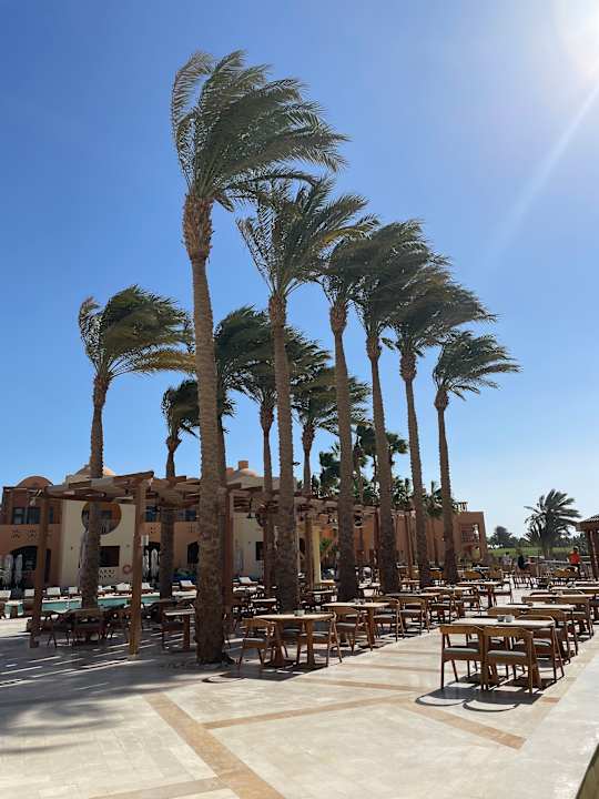 Gastro Steigenberger Golf Resort El Gouna