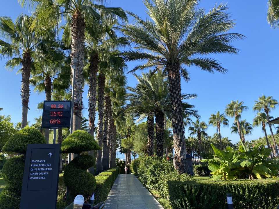 Gartenanlage Hotel Miramare Beach