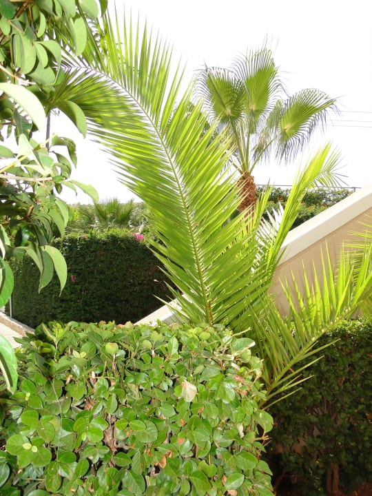 Hotel Grand Hotel Holiday Resort Grand Hotel Holiday Resort