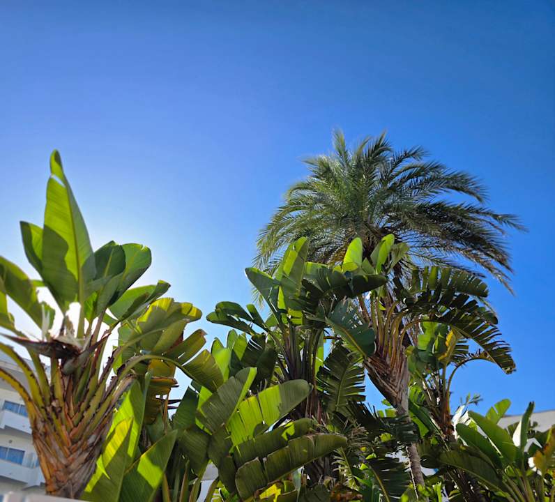 Außenansicht Grupotel Acapulco Playa - Adults Only