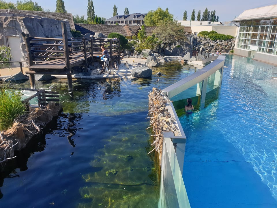 Pool Spreewelten Hotel